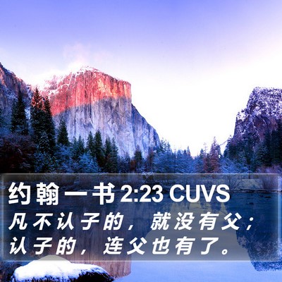 约 翰 一 书 2:23 CUVS Bible Verse Image