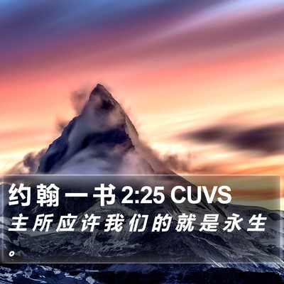 约 翰 一 书 2:25 CUVS Bible Verse Image