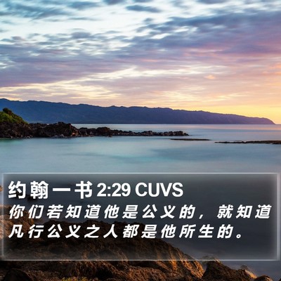 约 翰 一 书 2:29 CUVS Bible Verse Image