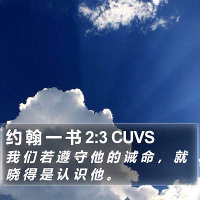 约 翰 一 书 2:3 CUVS Bible Verse Image