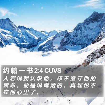 约 翰 一 书 2:4 CUVS Bible Verse Image