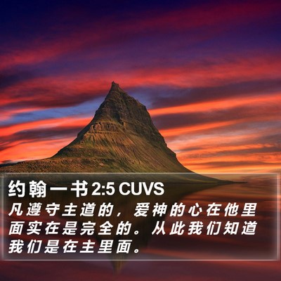 约 翰 一 书 2:5 CUVS Bible Verse Image