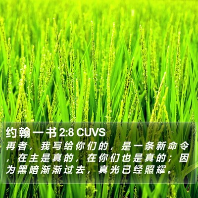 约 翰 一 书 2:8 CUVS Bible Verse Image
