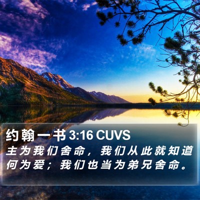 约 翰 一 书 3:16 CUVS Bible Verse Image