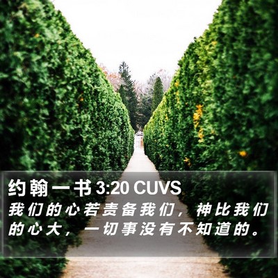 约 翰 一 书 3:20 CUVS Bible Verse Image
