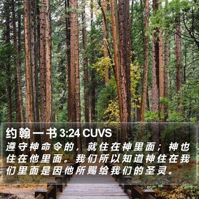 约 翰 一 书 3:24 CUVS Bible Verse Image