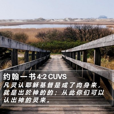 约 翰 一 书 4:2 CUVS Bible Verse Image