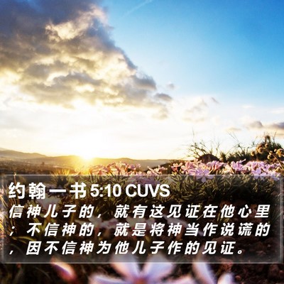 约 翰 一 书 5:10 CUVS Bible Verse Image