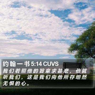 约 翰 一 书 5:14 CUVS Bible Verse Image