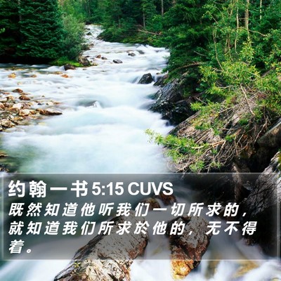 约 翰 一 书 5:15 CUVS Bible Verse Image