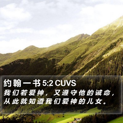 约 翰 一 书 5:2 CUVS Bible Verse Image