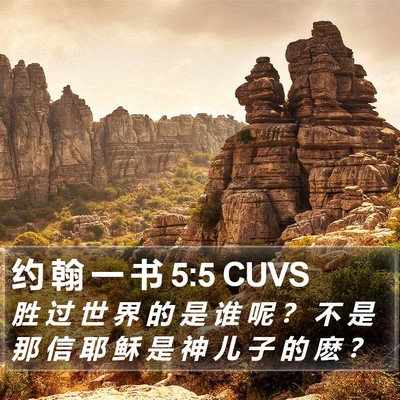 约 翰 一 书 5:5 CUVS Bible Verse Image
