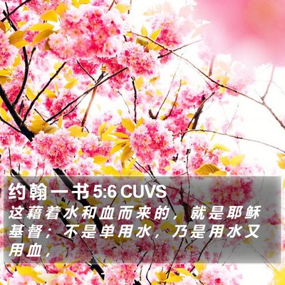 约 翰 一 书 5:6 CUVS Bible Verse Image
