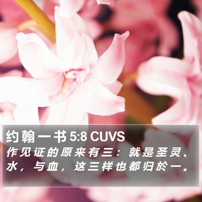 约 翰 一 书 5:8 CUVS Bible Verse Image
