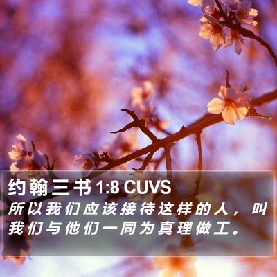 约 翰 三 书 1:8 CUVS Bible Verse Image