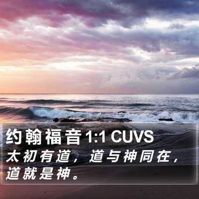 约 翰 福 音 1:1 CUVS Bible Verse Image