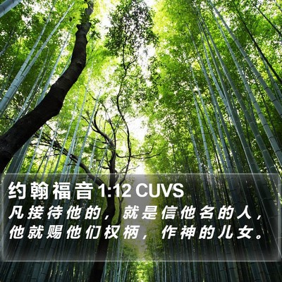 约 翰 福 音 1:12 CUVS Bible Verse Image