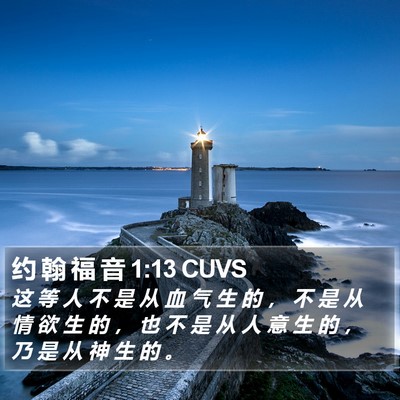 约 翰 福 音 1:13 CUVS Bible Verse Image