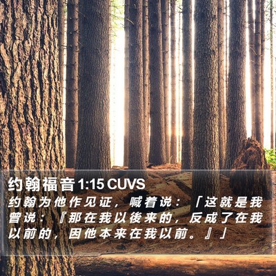 约 翰 福 音 1:15 CUVS Bible Verse Image