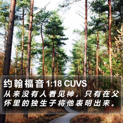 约 翰 福 音 1:18 CUVS Bible Verse Image