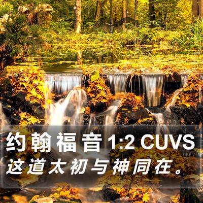 约 翰 福 音 1:2 CUVS Bible Verse Image