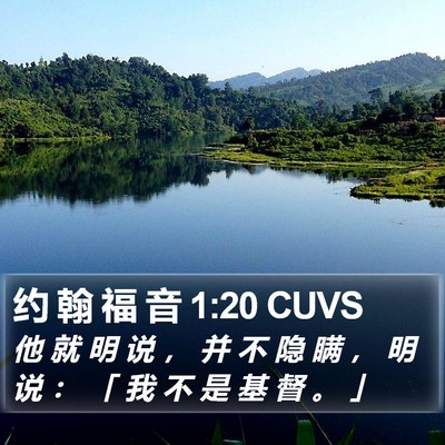 约 翰 福 音 1:20 CUVS Bible Verse Image
