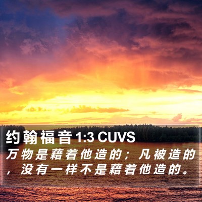 约 翰 福 音 1:3 CUVS Bible Verse Image