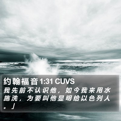 约 翰 福 音 1:31 CUVS Bible Verse Image