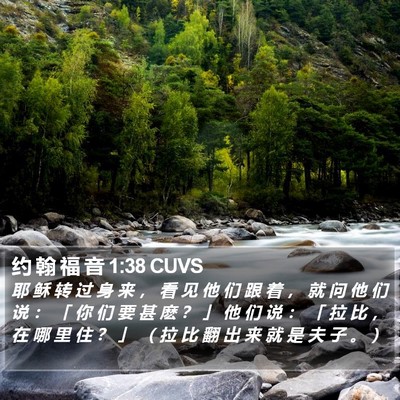 约 翰 福 音 1:38 CUVS Bible Verse Image