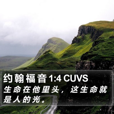 约 翰 福 音 1:4 CUVS Bible Verse Image
