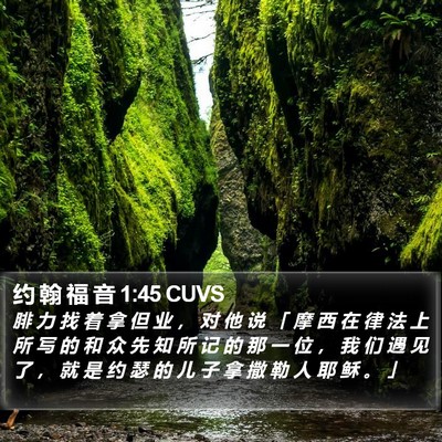 约 翰 福 音 1:45 CUVS Bible Verse Image