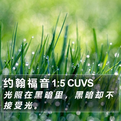 约 翰 福 音 1:5 CUVS Bible Verse Image