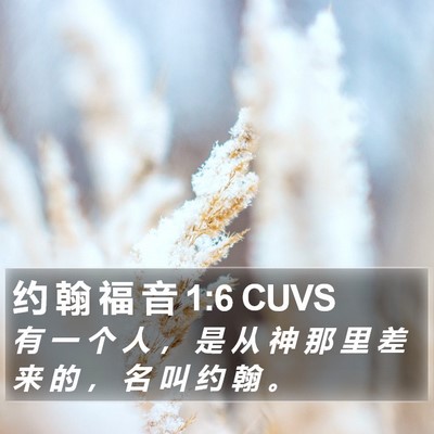 约 翰 福 音 1:6 CUVS Bible Verse Image