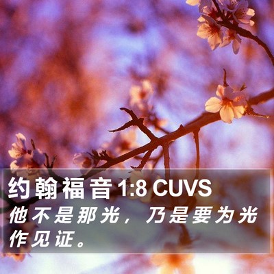 约 翰 福 音 1:8 CUVS Bible Verse Image