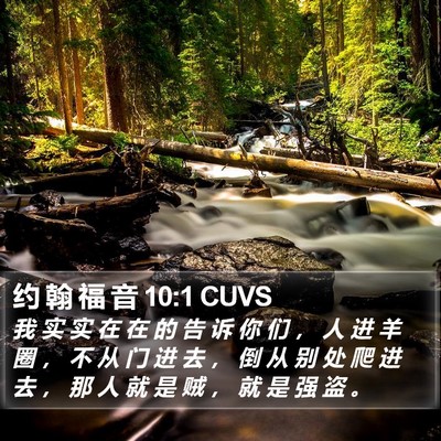 约 翰 福 音 10:1 CUVS Bible Verse Image