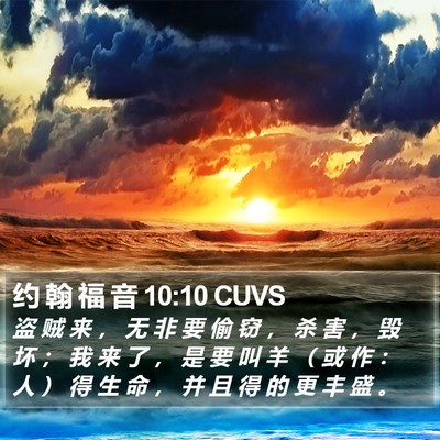 约 翰 福 音 10:10 CUVS Bible Verse Image