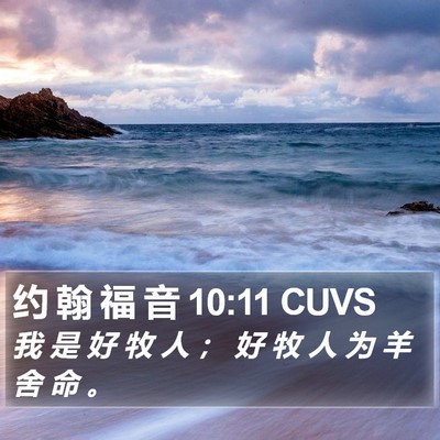 约 翰 福 音 10:11 CUVS Bible Verse Image