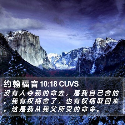 约 翰 福 音 10:18 CUVS Bible Verse Image