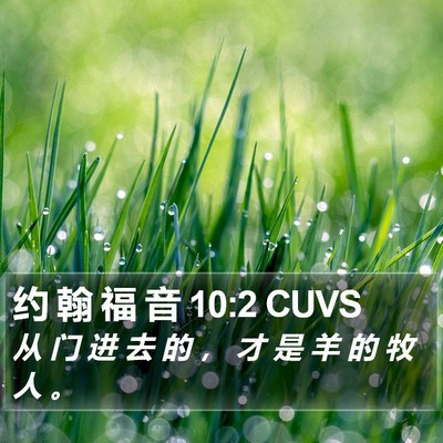 约 翰 福 音 10:2 CUVS Bible Verse Image