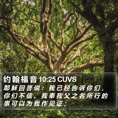 约 翰 福 音 10:25 CUVS Bible Verse Image