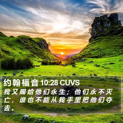 约 翰 福 音 10:28 CUVS Bible Verse Image