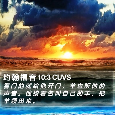 约 翰 福 音 10:3 CUVS Bible Verse Image