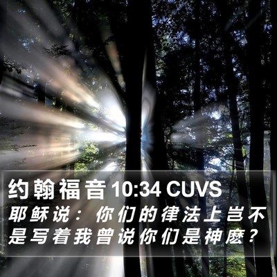 约 翰 福 音 10:34 CUVS Bible Verse Image
