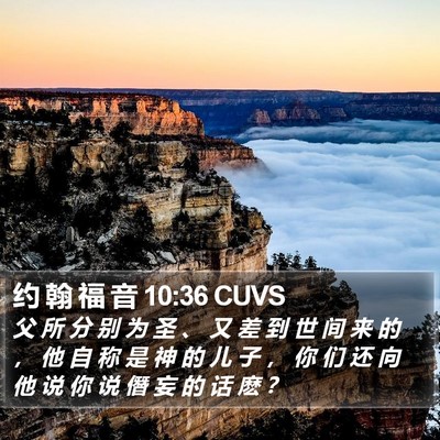 约 翰 福 音 10:36 CUVS Bible Verse Image