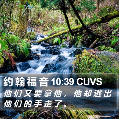 约 翰 福 音 10:39 CUVS Bible Verse Image
