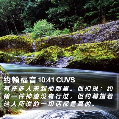 约 翰 福 音 10:41 CUVS Bible Verse Image