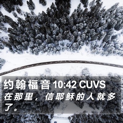 约 翰 福 音 10:42 CUVS Bible Verse Image