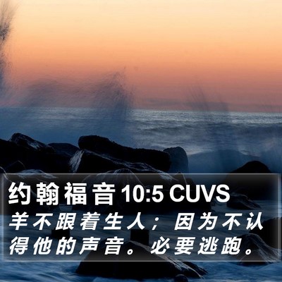 约 翰 福 音 10:5 CUVS Bible Verse Image