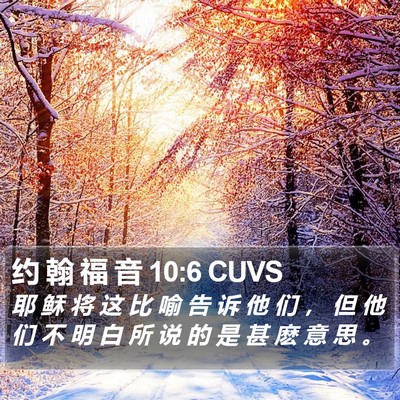 约 翰 福 音 10:6 CUVS Bible Verse Image