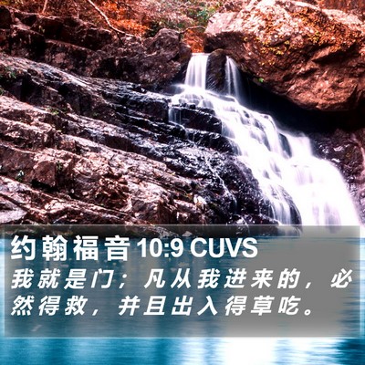 约 翰 福 音 10:9 CUVS Bible Verse Image